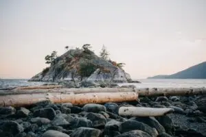 6 Exciting Reasons to Visit Vancouver Island, Canada